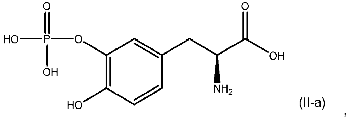 Figure imgb0146
