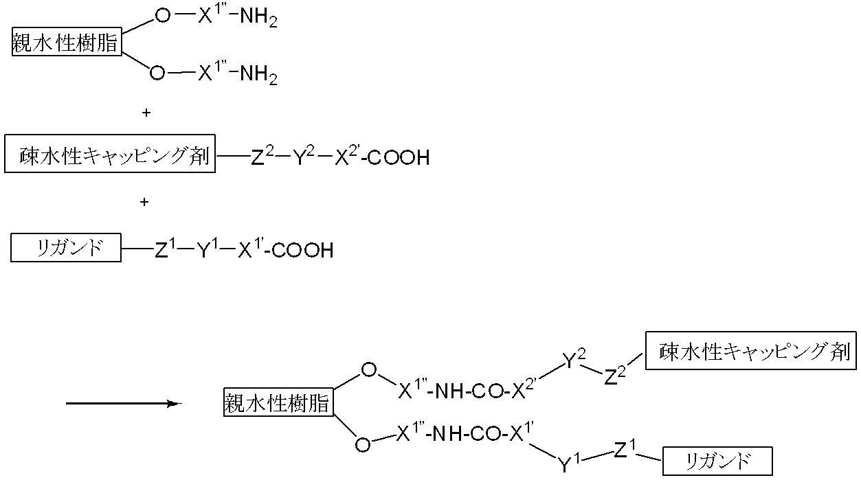 Figure JPOXMLDOC01-appb-C000013