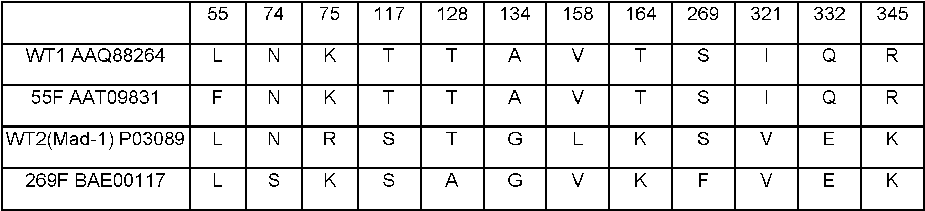 Figure imgf000053_0001