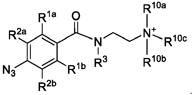 Figure imgb0117