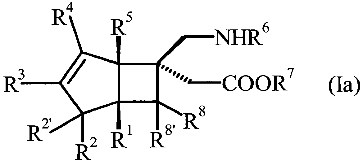 Figure imgb0002