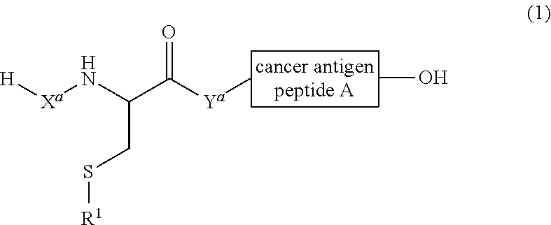 Peptide Information 3913