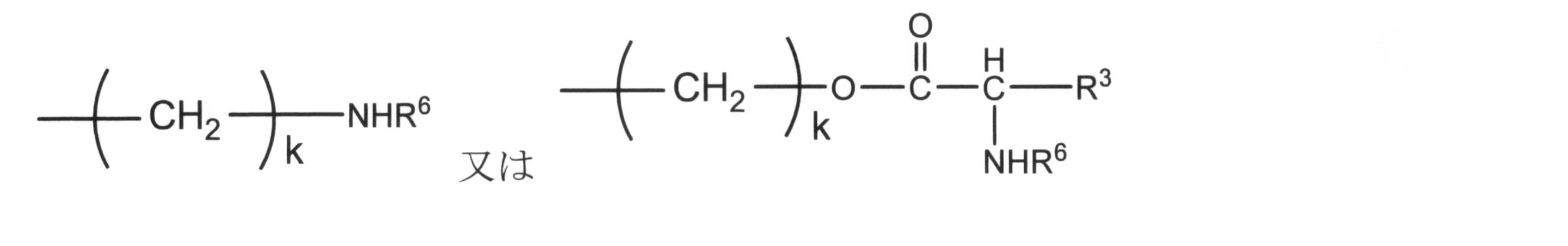 Figure JPOXMLDOC01-appb-C000014