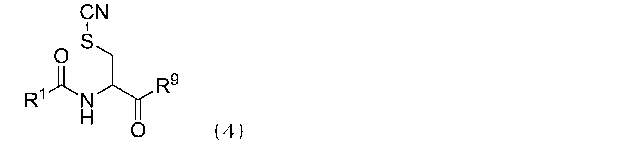 Figure JPOXMLDOC01-appb-C000013