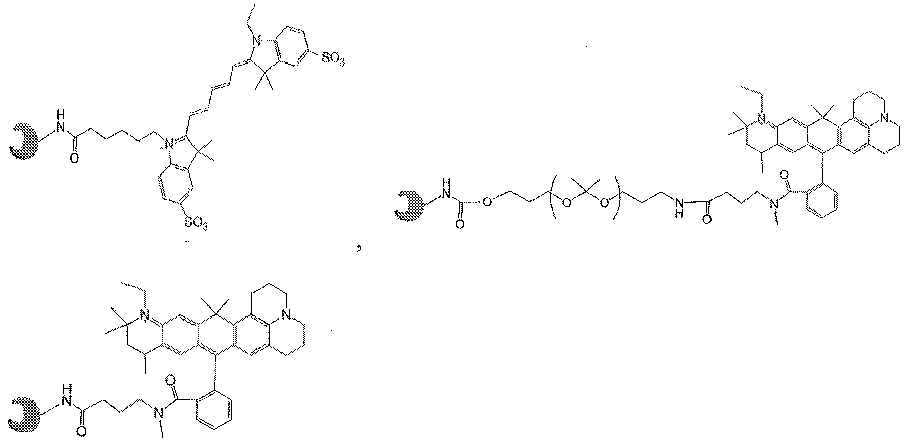 Figure imgf000376_0002