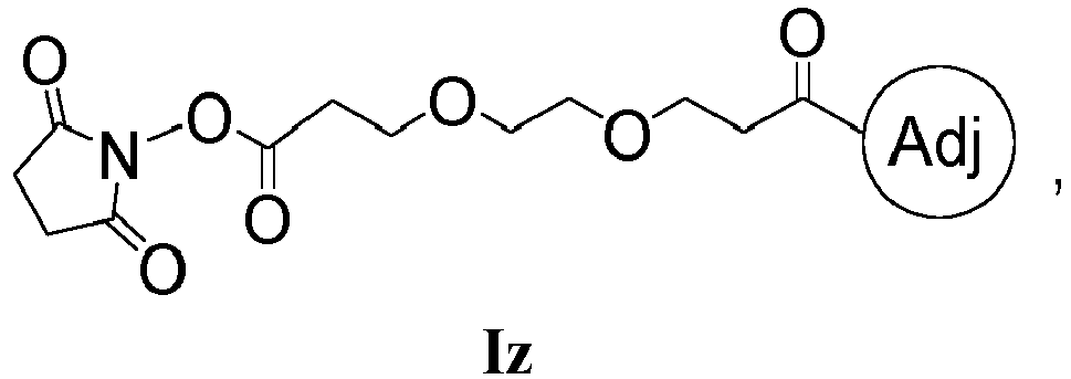 Figure imgb0113