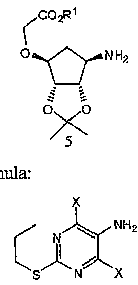 Figure imgf000018_0004