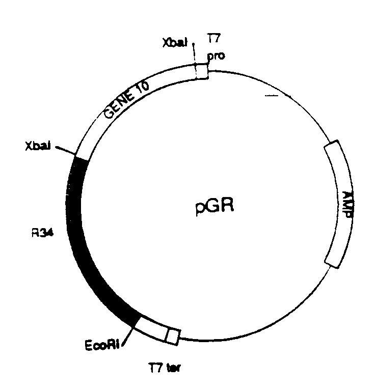 Figure 00610001