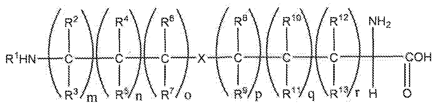 Figure imgf000019_0001