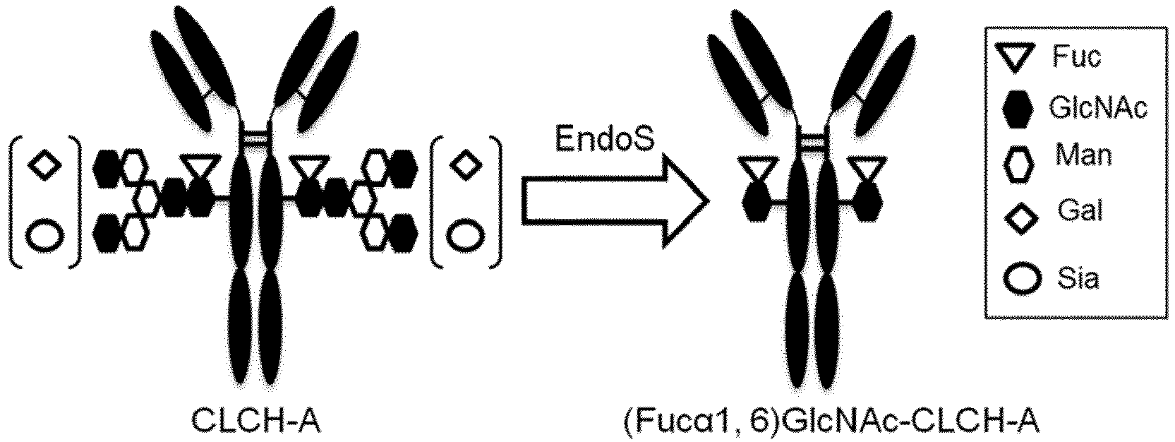 Figure imgb0079