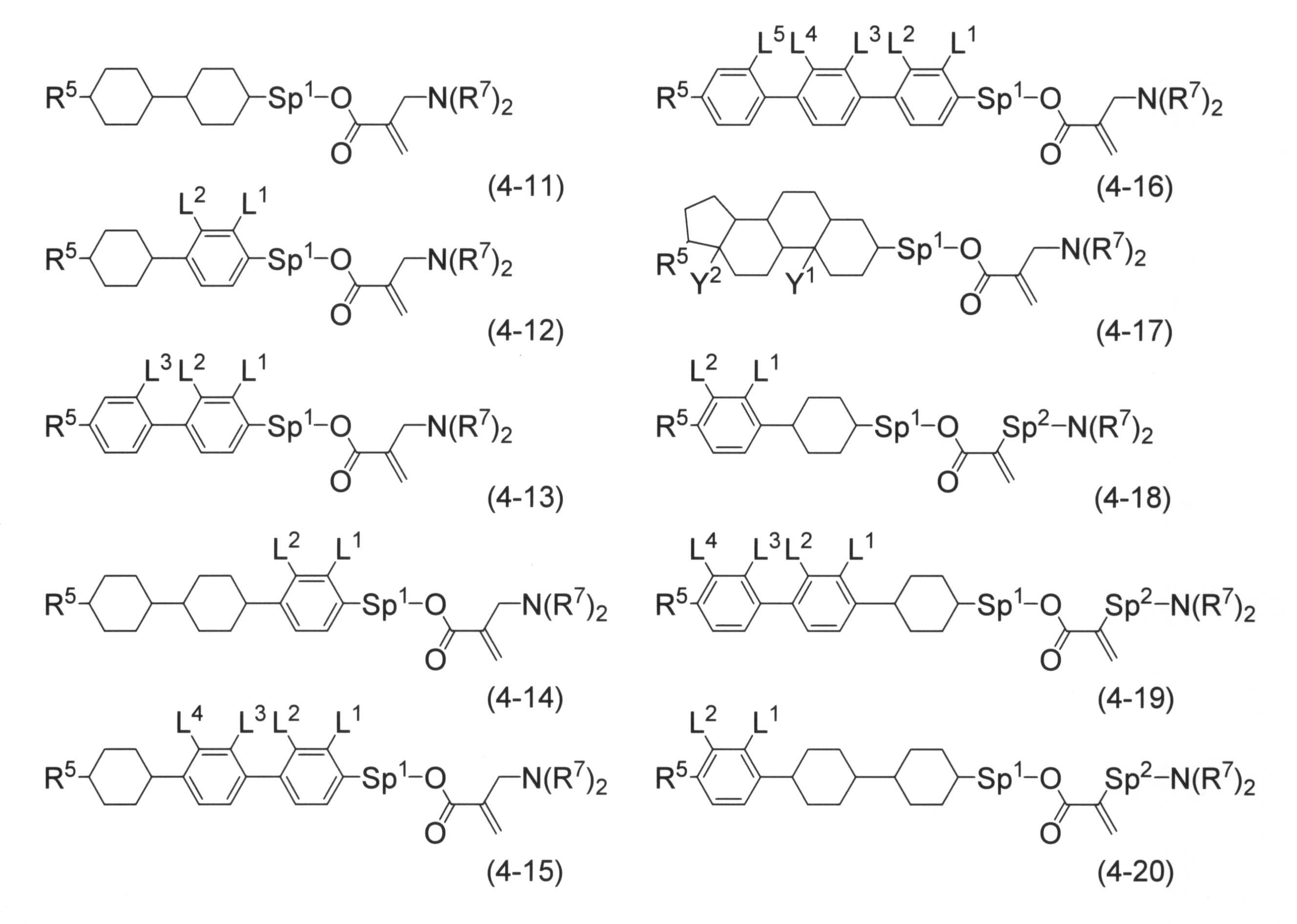 Figure JPOXMLDOC01-appb-C000029