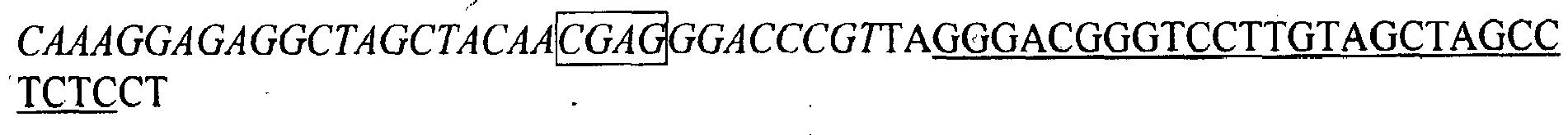 Figure imgb0013