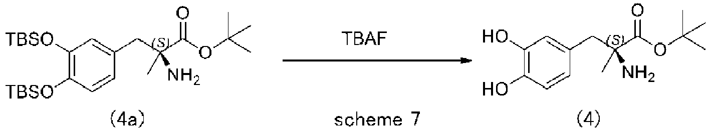 Figure imgb0032