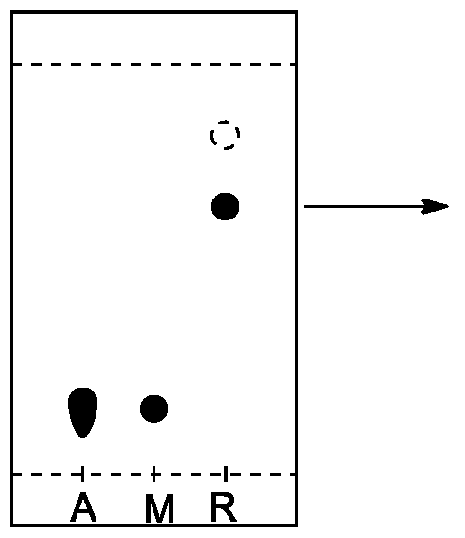 Figure imgf000031_0002