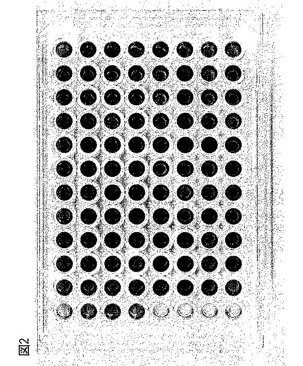 Jpwoa1 所望の機能的性質を有する核酸の単離方法およびそのためのキット Google Patents Jpwoa1 所望の機能的性質を有する核酸の単離方法およびそのためのキット Google Patents