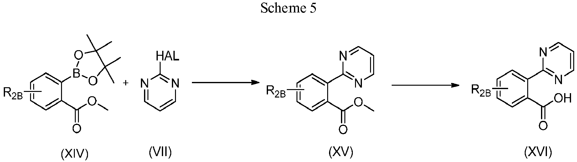 Figure imgb0026