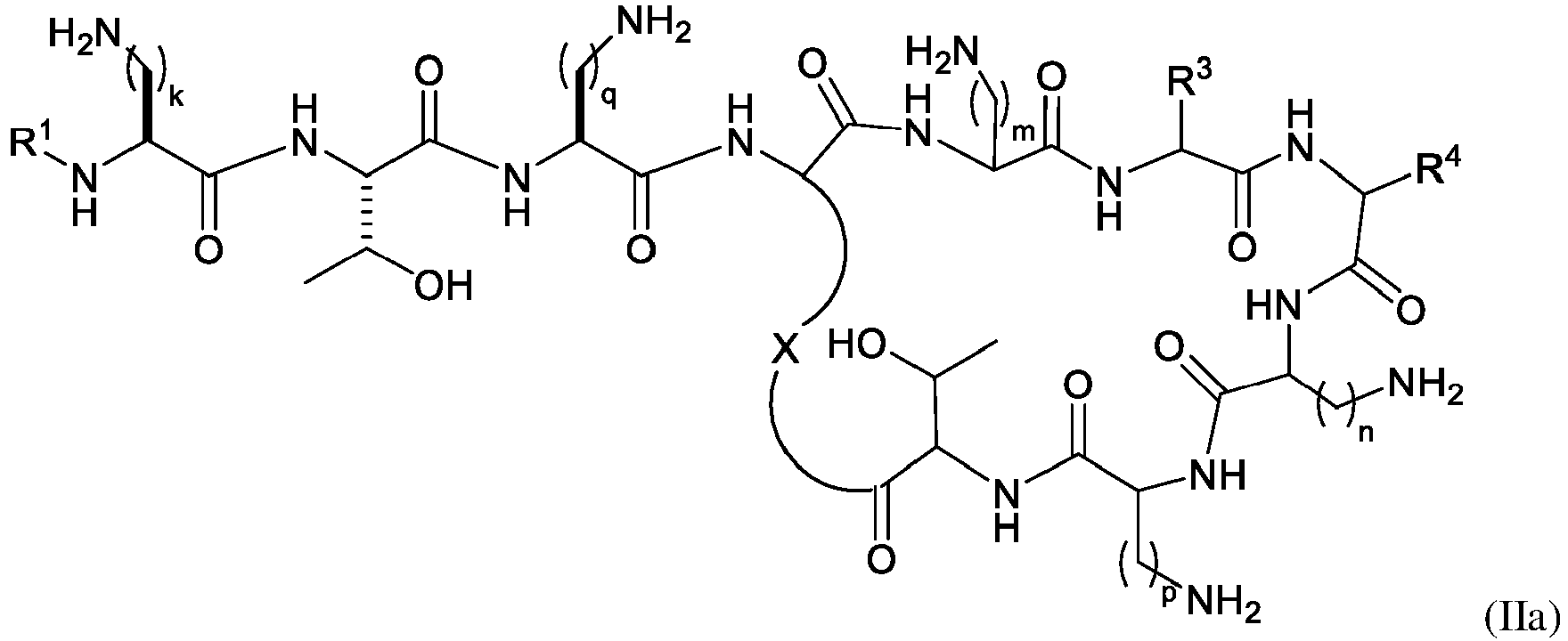 Figure imgb0024