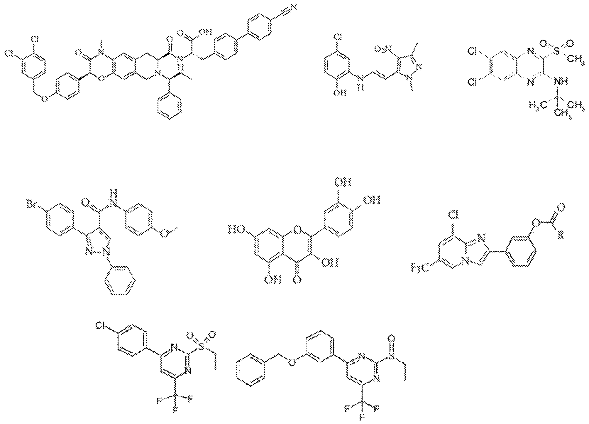 Figure imgf000053_0001