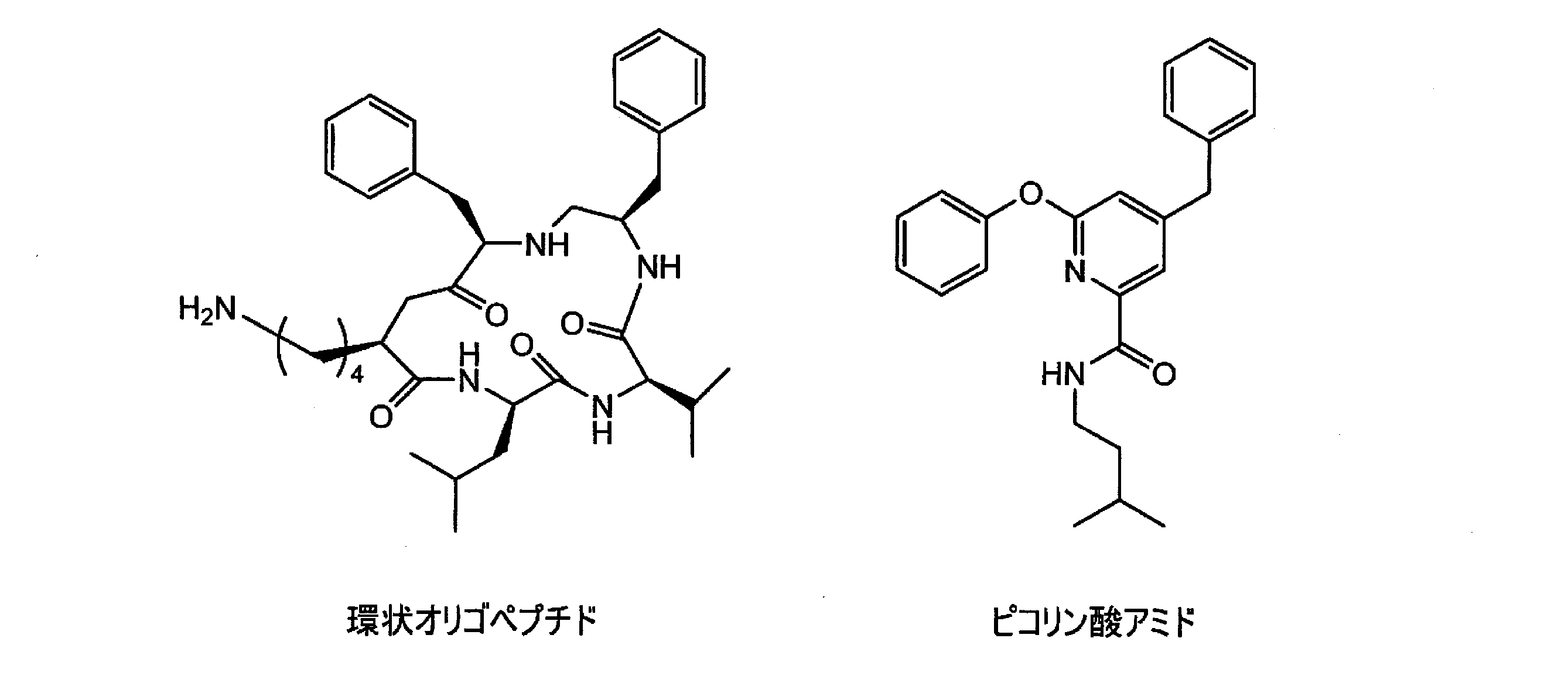 Figure JPOXMLDOC01-appb-C000050