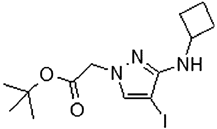 Figure imgb0707