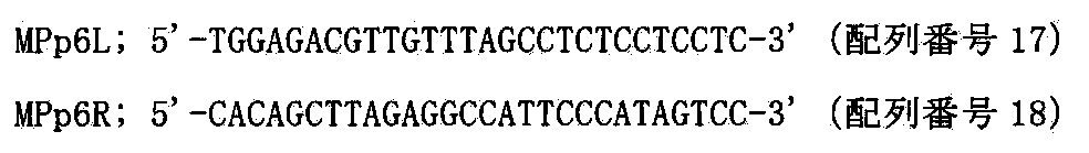 Figure JPOXMLDOC01-appb-I000028