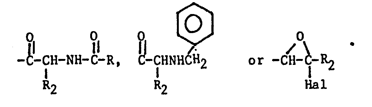 Epa1 Substituted Imidazole Derivatives And Their Preparation And Use Google Patents