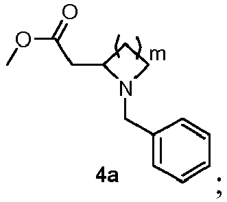 Figure imgb0071