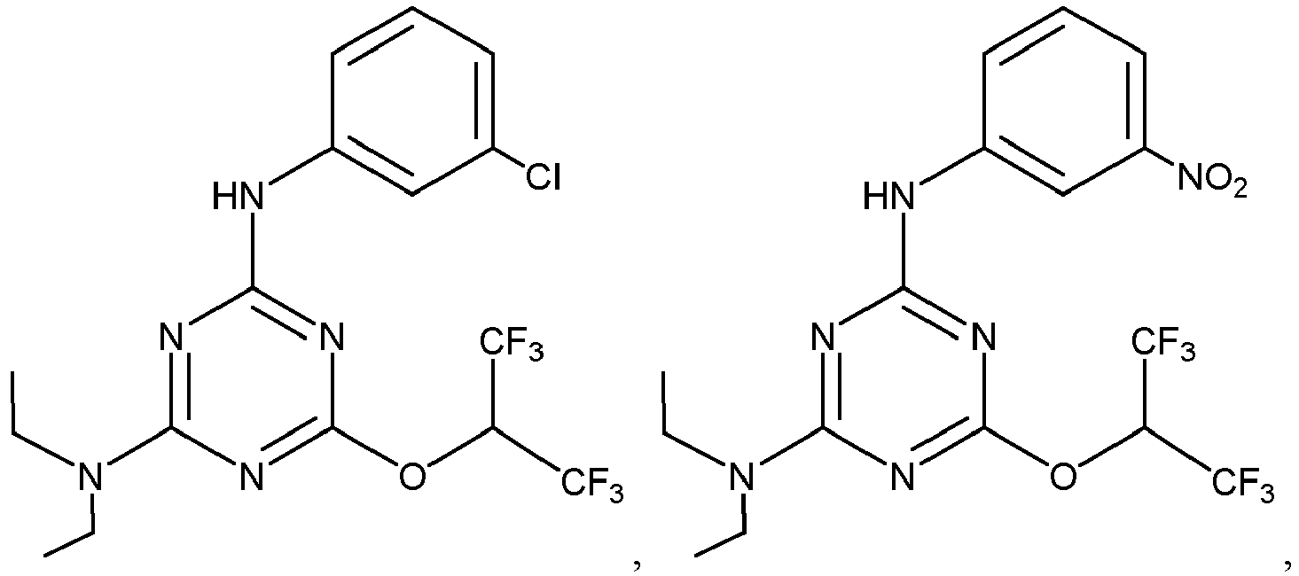 Figure imgb0031