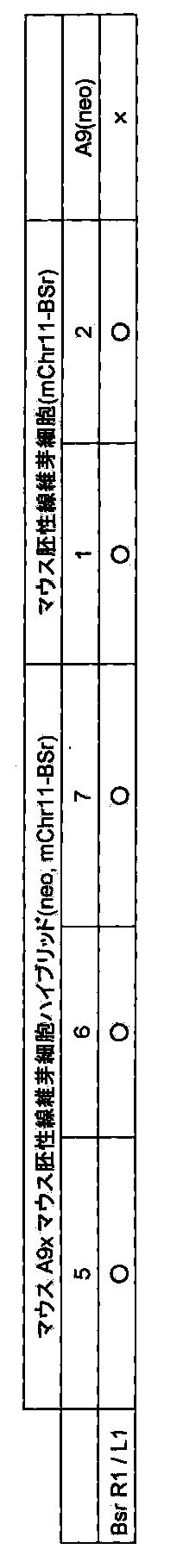 Figure JPOXMLDOC01-appb-I000003