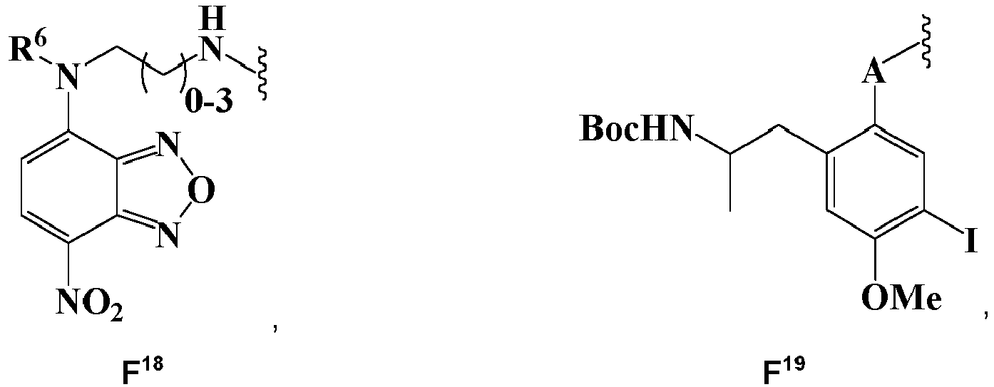 Figure imgb0306