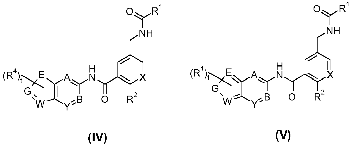 Figure imgb0004