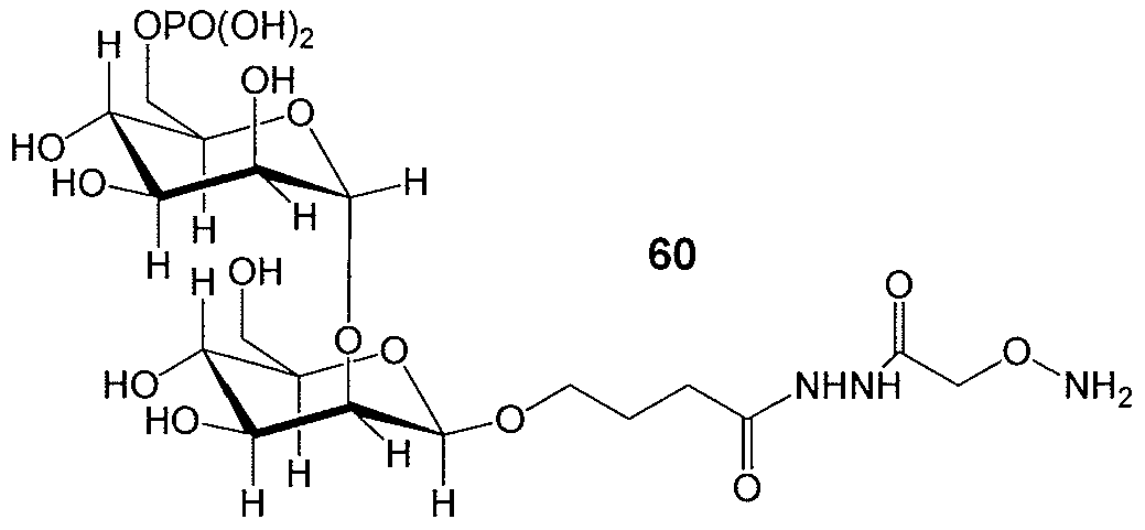 Figure imgf000064_0001