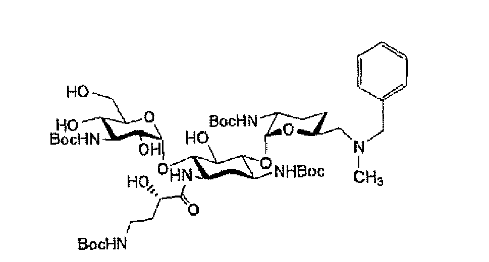 Figure imgb0101