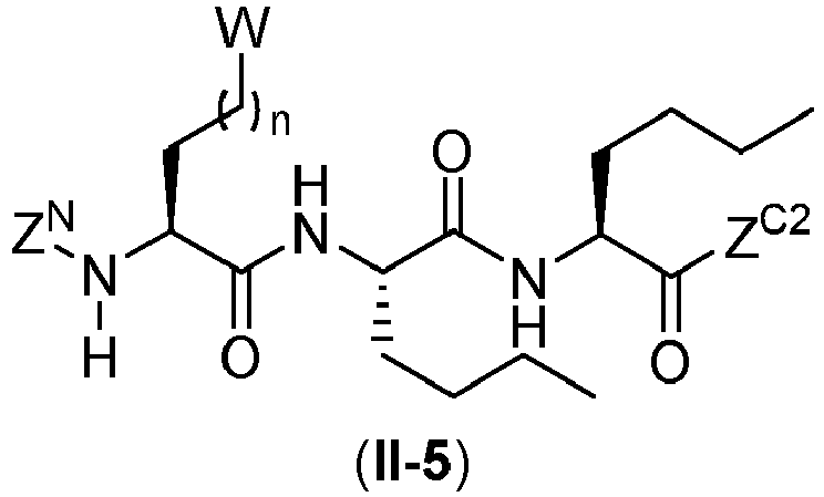 Figure imgb0734