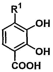 Figure imgf000033_0001
