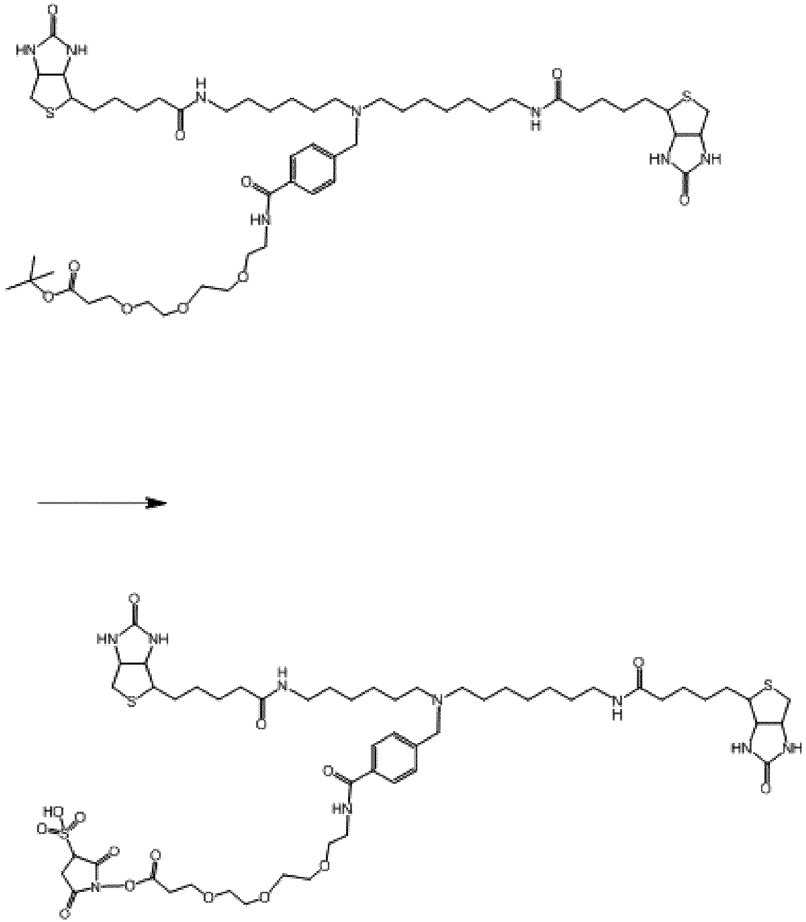 Figure imgb0102