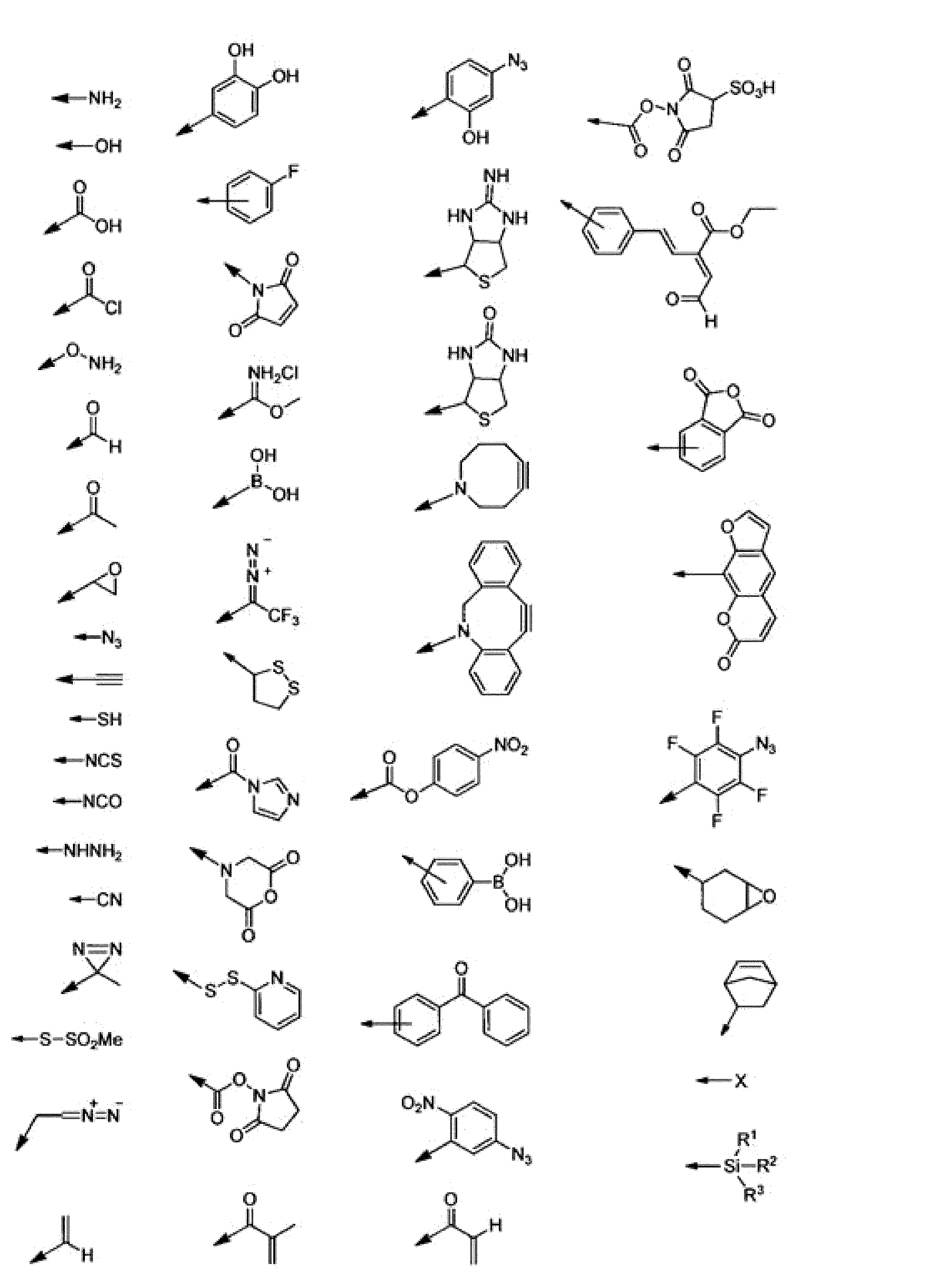 Figure JPOXMLDOC01-appb-C000005