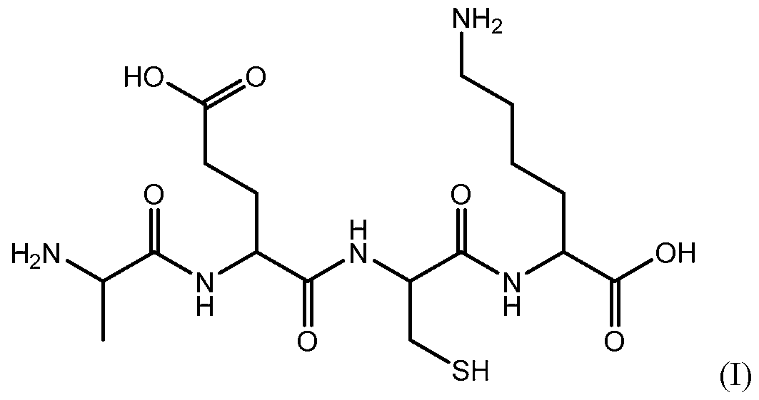 Figure imgf000003_0001