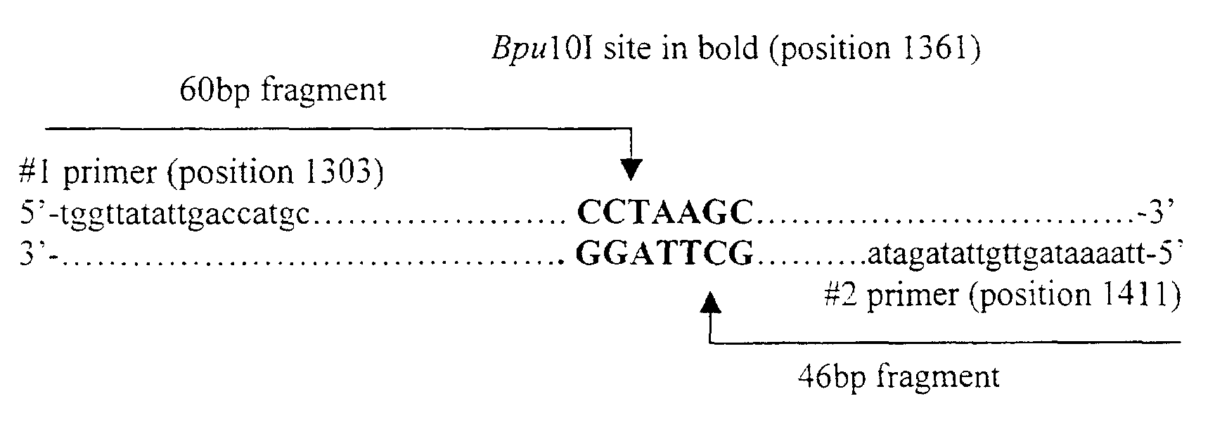 Figure 00190001