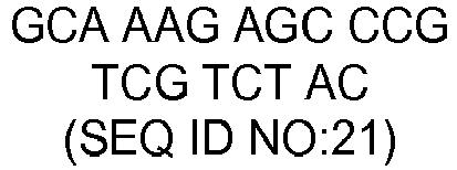 Figure imgb0021