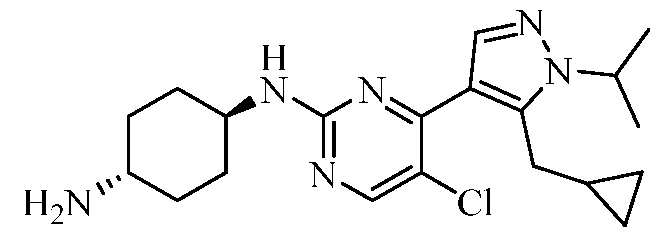 Figure imgf000024_0004