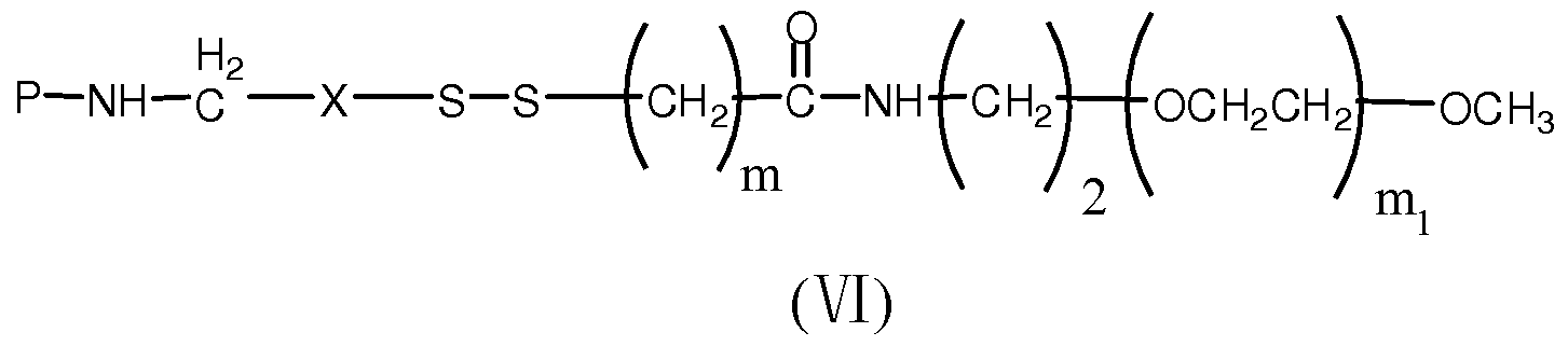 Figure imgf000007_0002