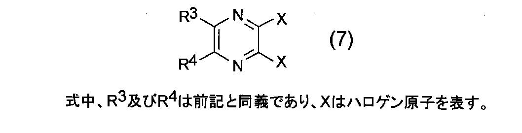 Figure JPOXMLDOC01-appb-C000022