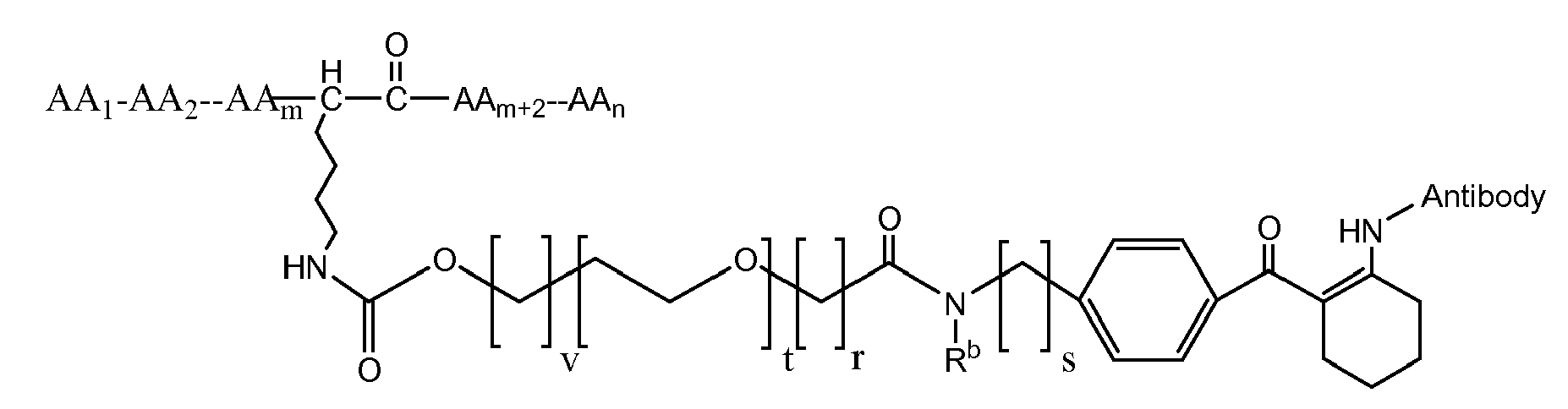 Figure imgb0256