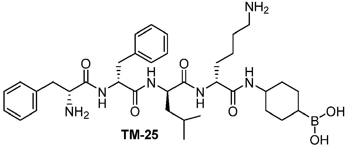 Figure imgb0013