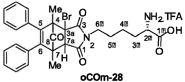 Figure imgb0176