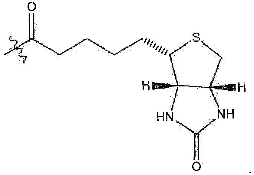 Figure imgb0015