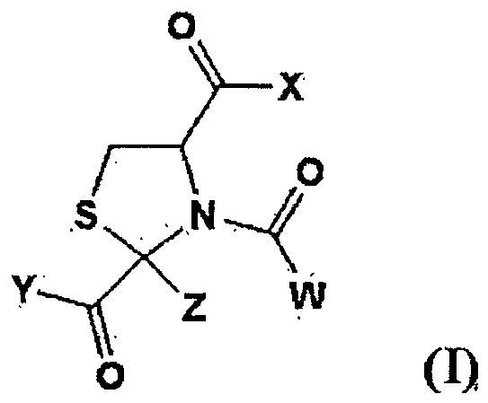 Figure imgb0049
