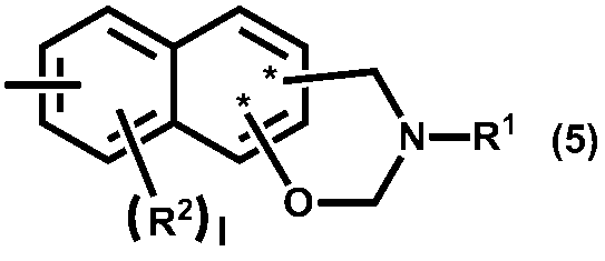 Figure JPOXMLDOC01-appb-C000016