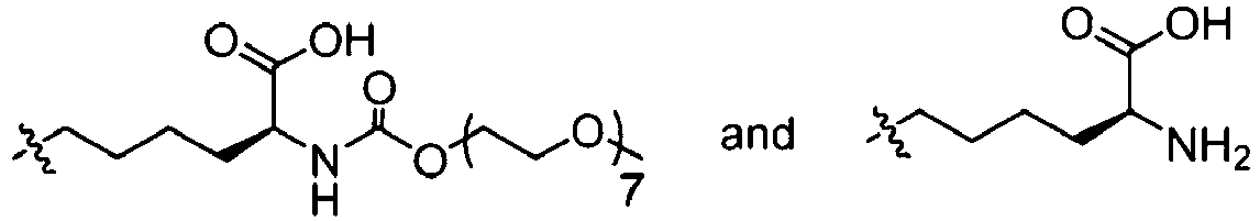 Figure imgb0014